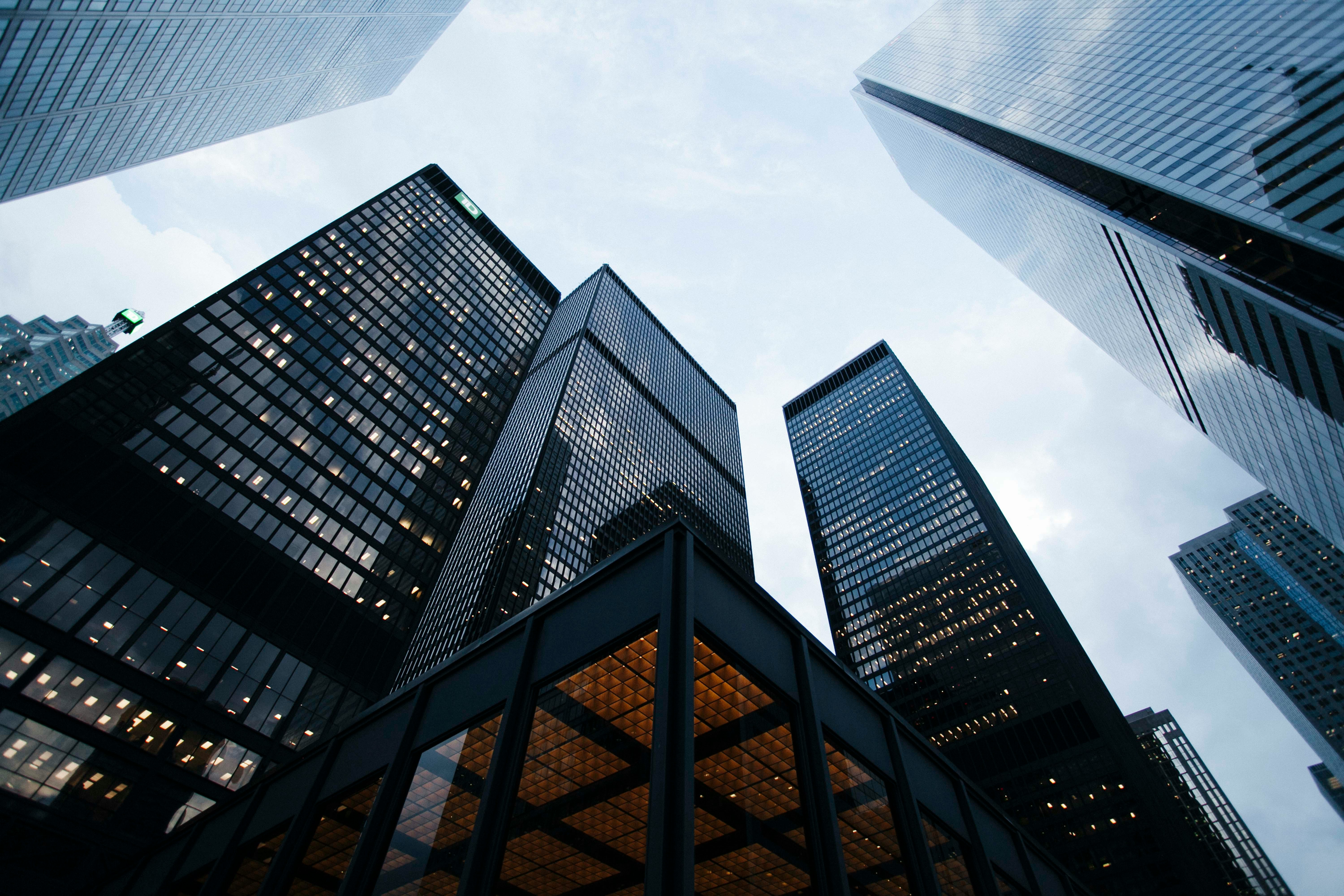 From fog to focus: How boards get a clearer view of organisation talent