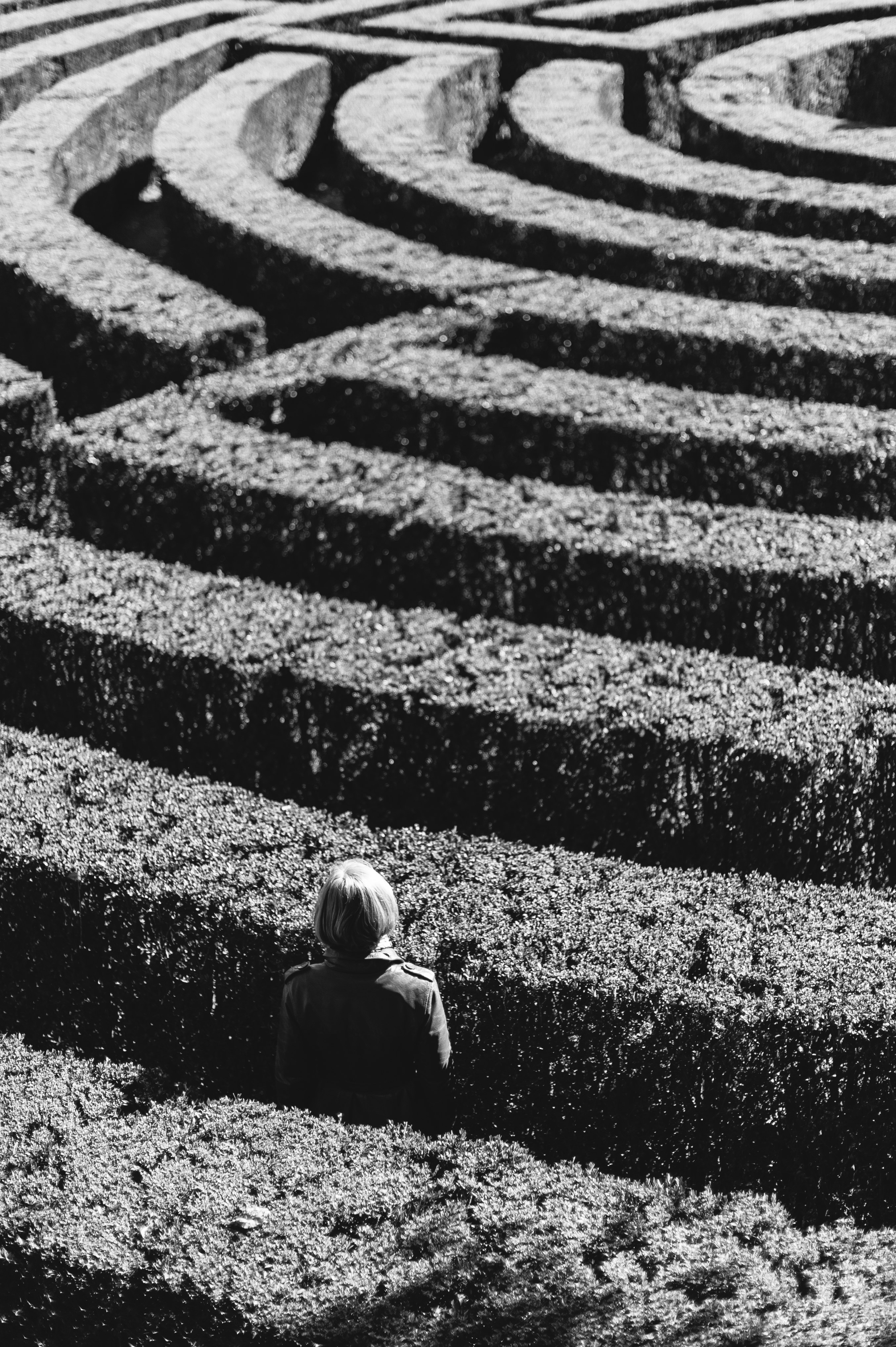 Why good directors make bad decisions